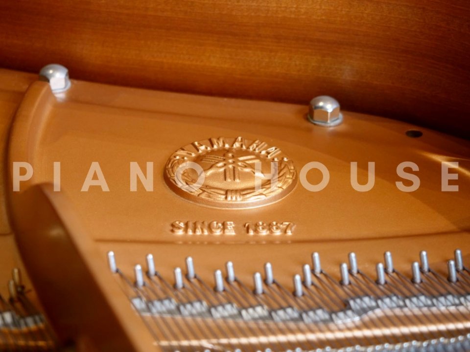 Hình ảnh chi tiết YAMAHA C3L góc chụp 7